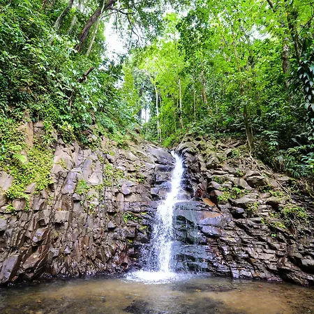 Fond Doux Eco Resort
